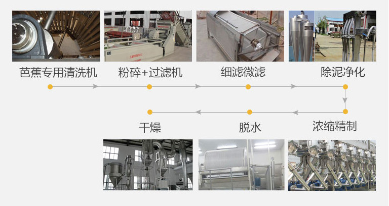 芭蕉芋淀粉生產線