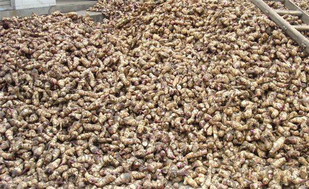 芭蕉芋淀粉設備所有原料