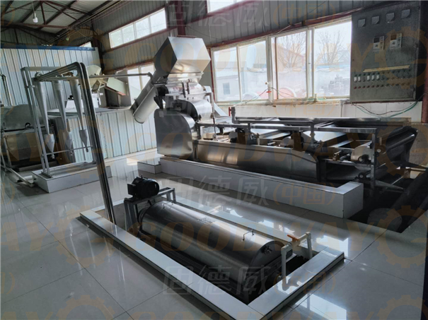 芭蕉芋馬上就要長成，提前做好這幾點，產量高做淀粉正合適