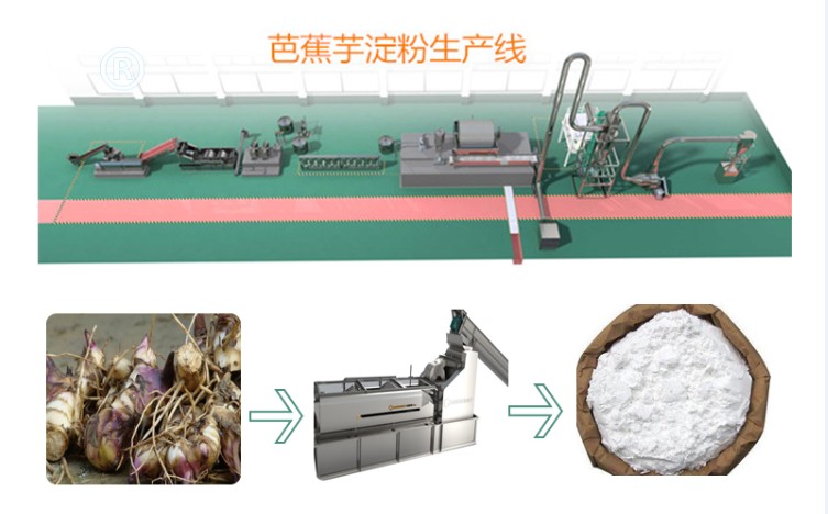 芭蕉芋淀粉設備價格