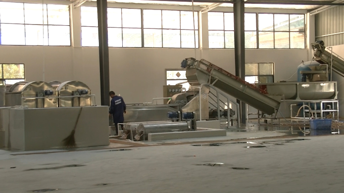 芭蕉芋淀粉制取的兩大問題